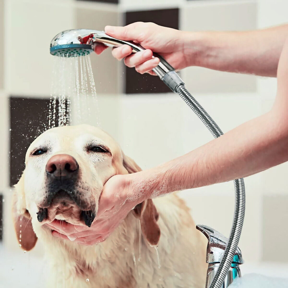 5 FT Handheld Shower Head Hose 1.5m Bathroom Stainless Steel Shower Water Tube Price