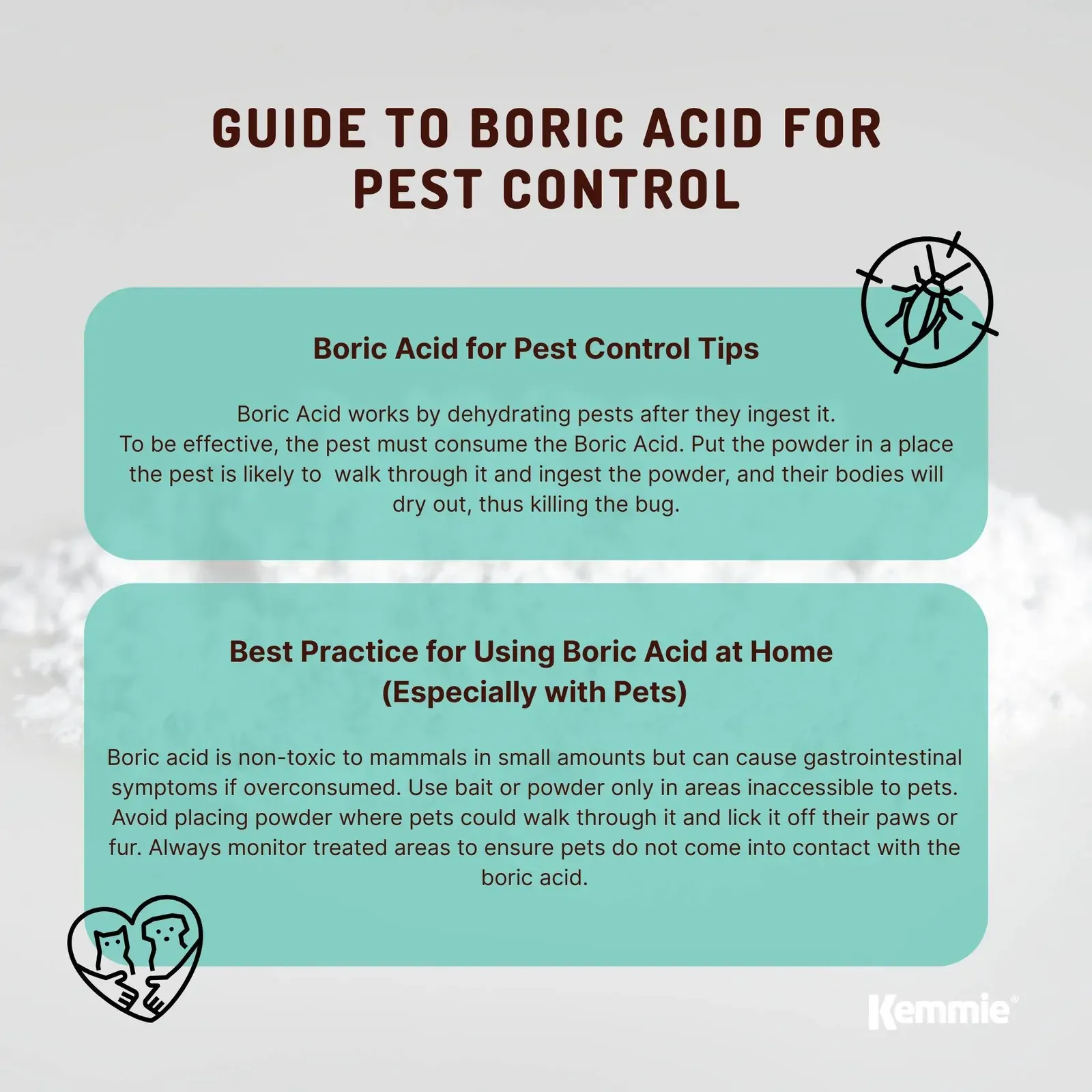100g Boric Acid Powder High Purity Fully Soluble Granule Pest Ant Cockroaches Price