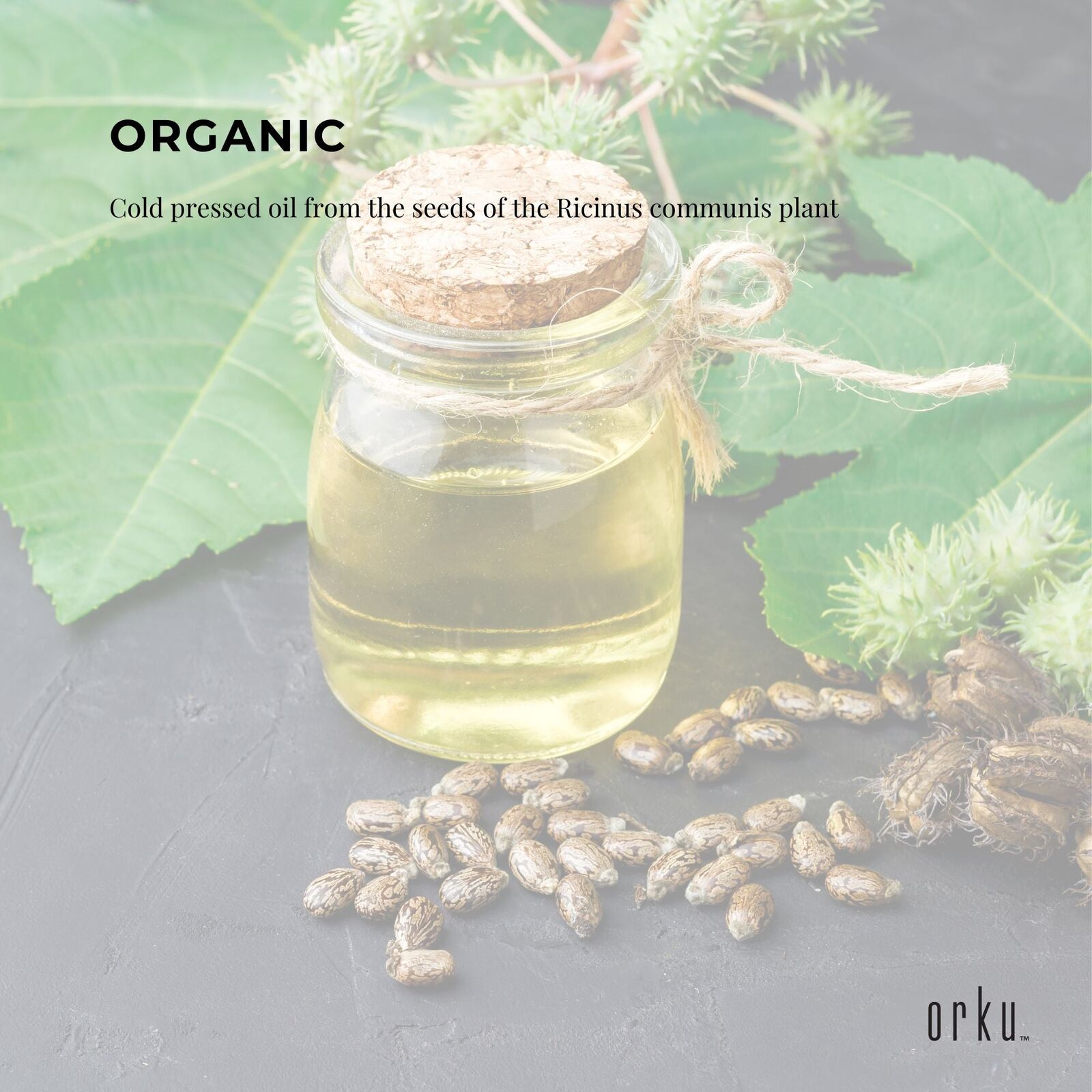 1.5L Organic Castor Oil - Hexane Free Cold Pressed Anti Oxidant Skin Hair Care Price