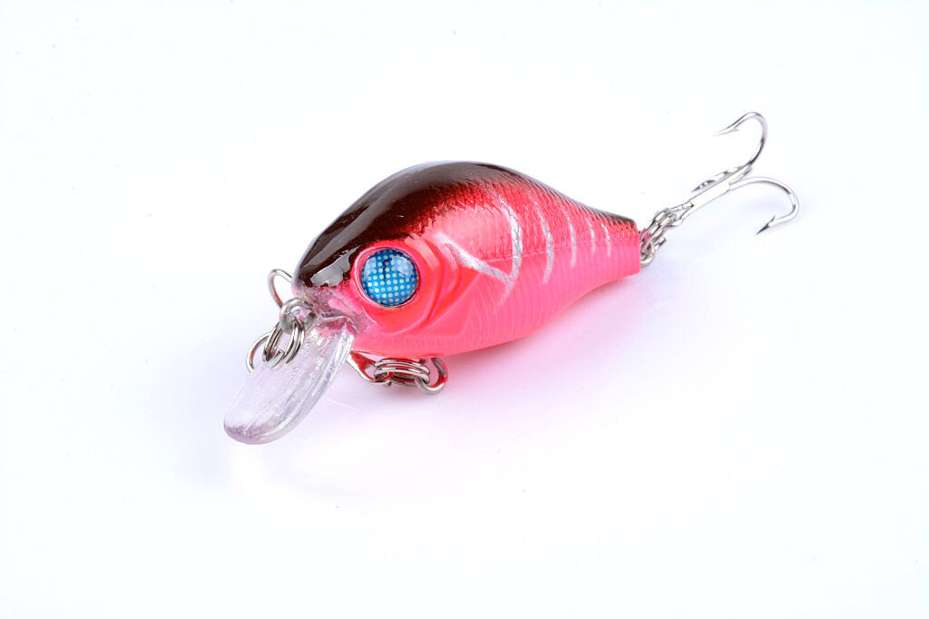 5x 5.5cm Popper Crank Bait Fishing Lure Lures Surface Tackle Saltwater Price