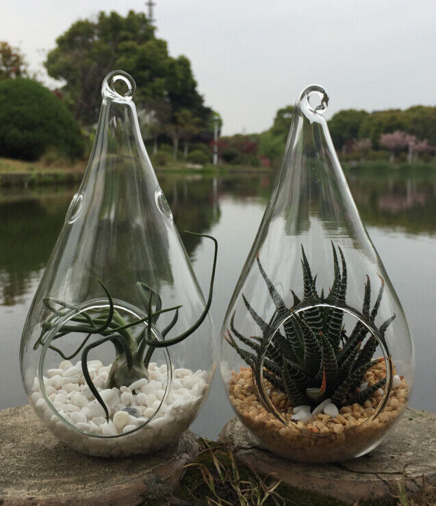 10 Pack of Hanging Clear Glass Tealight Candle Holder Tear Drop Pear Hour Glass Shape - 20cm High Terrarium Plant Mini Garden Holder Decoration Craft Price