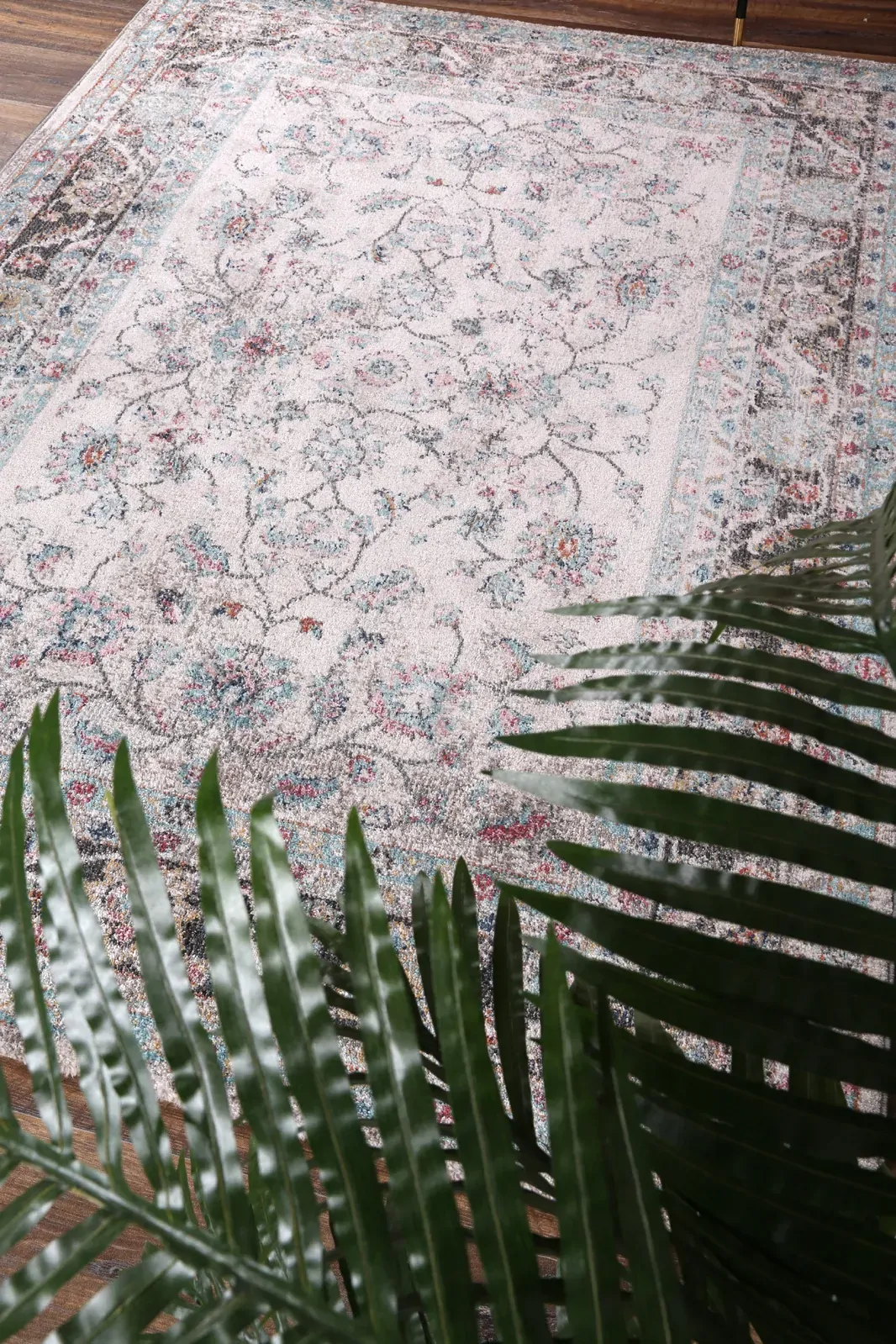 salsa-anita-cream-transitional-rug 280x380 Price