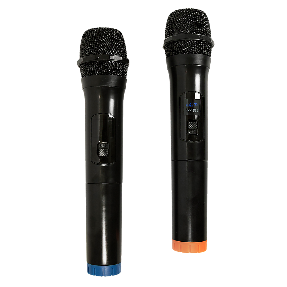 2 x Wireless Microphone Handheld Cordless Professional Mic Karaoke Receiver Price