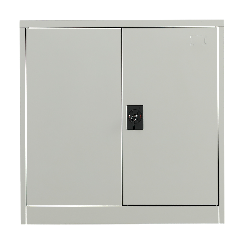 Two-Door Metal Short Cabinet Shelf Storage for Home Office Gym Price