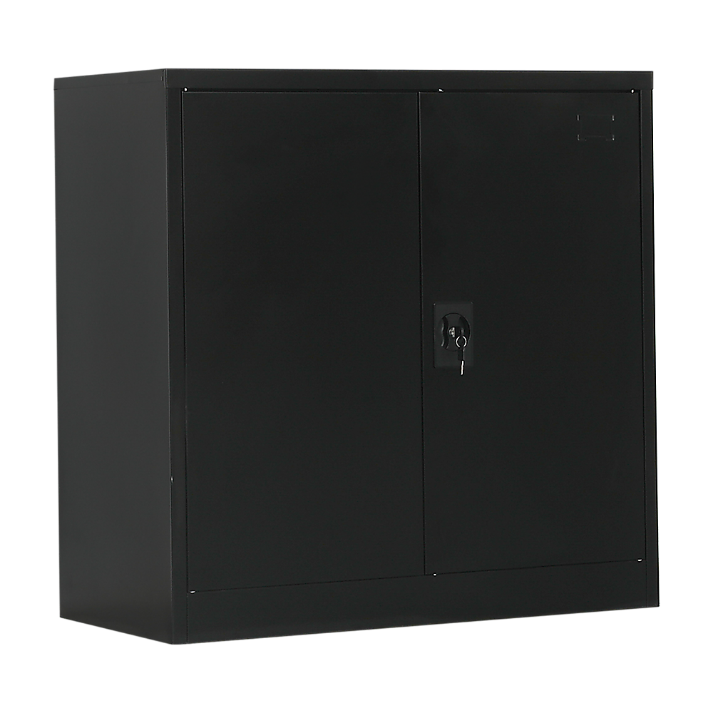 Two-Door Metal Short Cabinet Shelf Storage for Home Office Gym Price