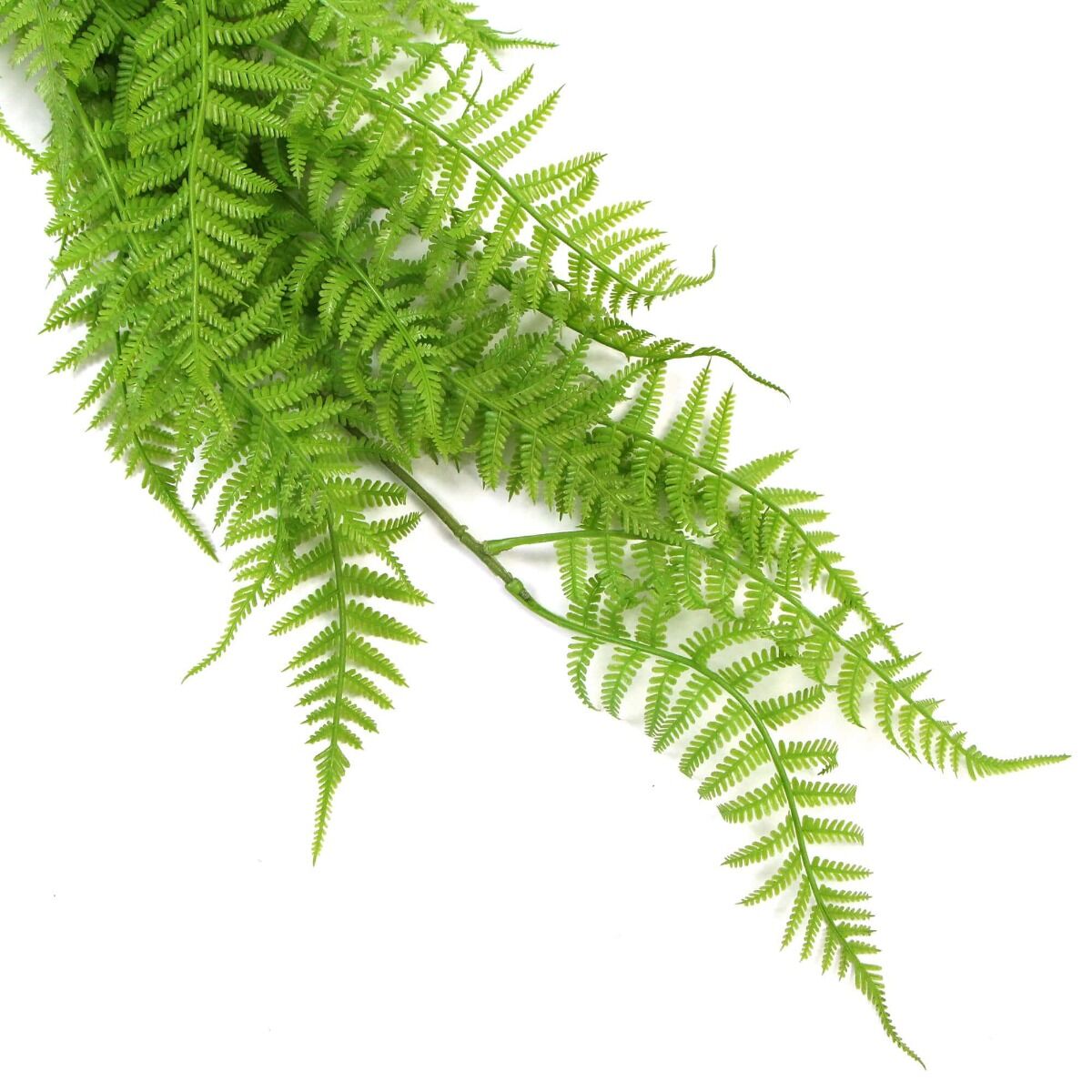 Hanging Fresh Green Boston Fern UV Resistant 80cm Price