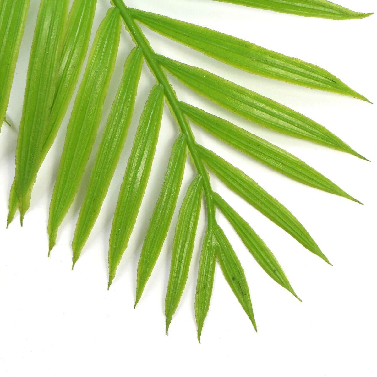 Hanging Fresh Green Bamboo Leaf Fern UV Resistant 80cm Price