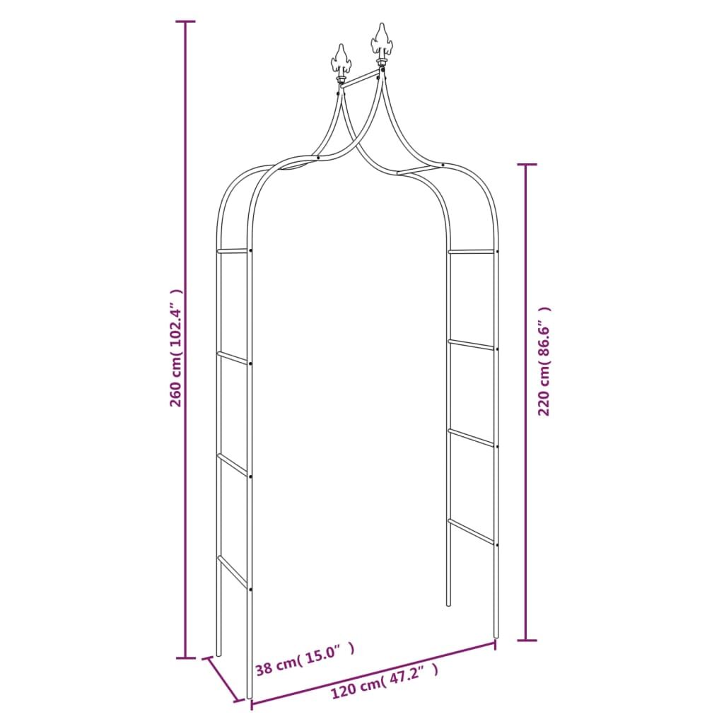 Garden Arches 2 pcs Black 120x38x260 cm Steel Price