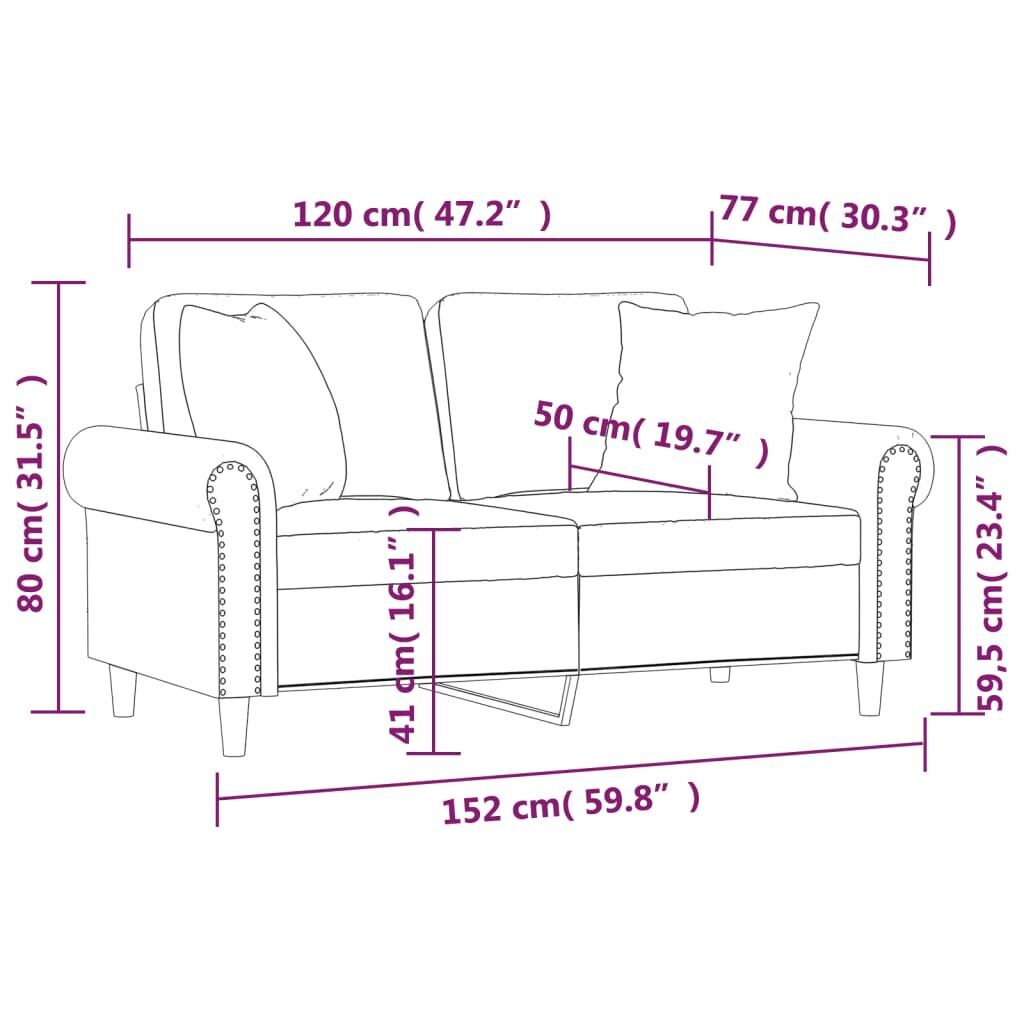 2-Seater Sofa with Throw Pillows Dark Grey 120 cm Velvet Price