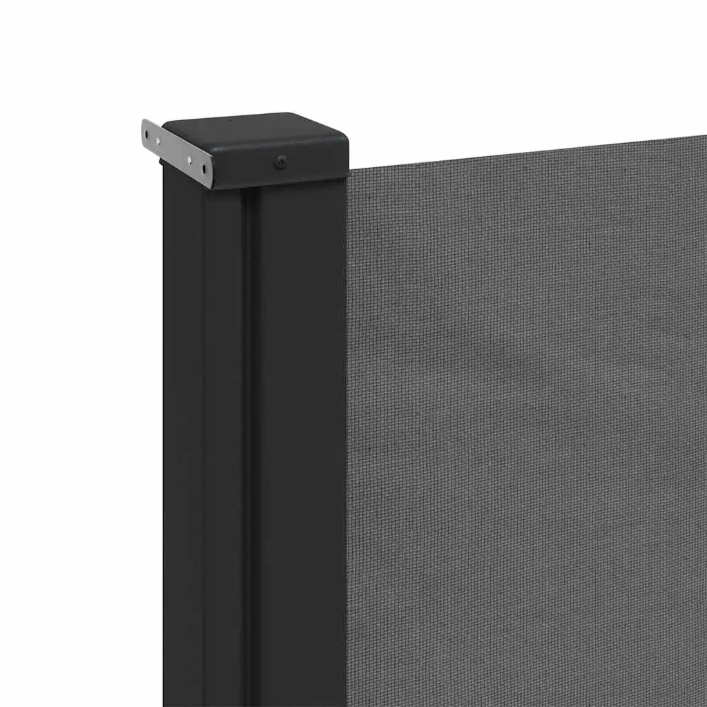 Retractable Side Awning Anthracite 140x300 cm Price
