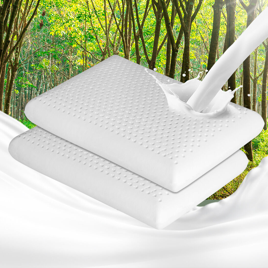 2x Natural Latex Pillow Removable Price