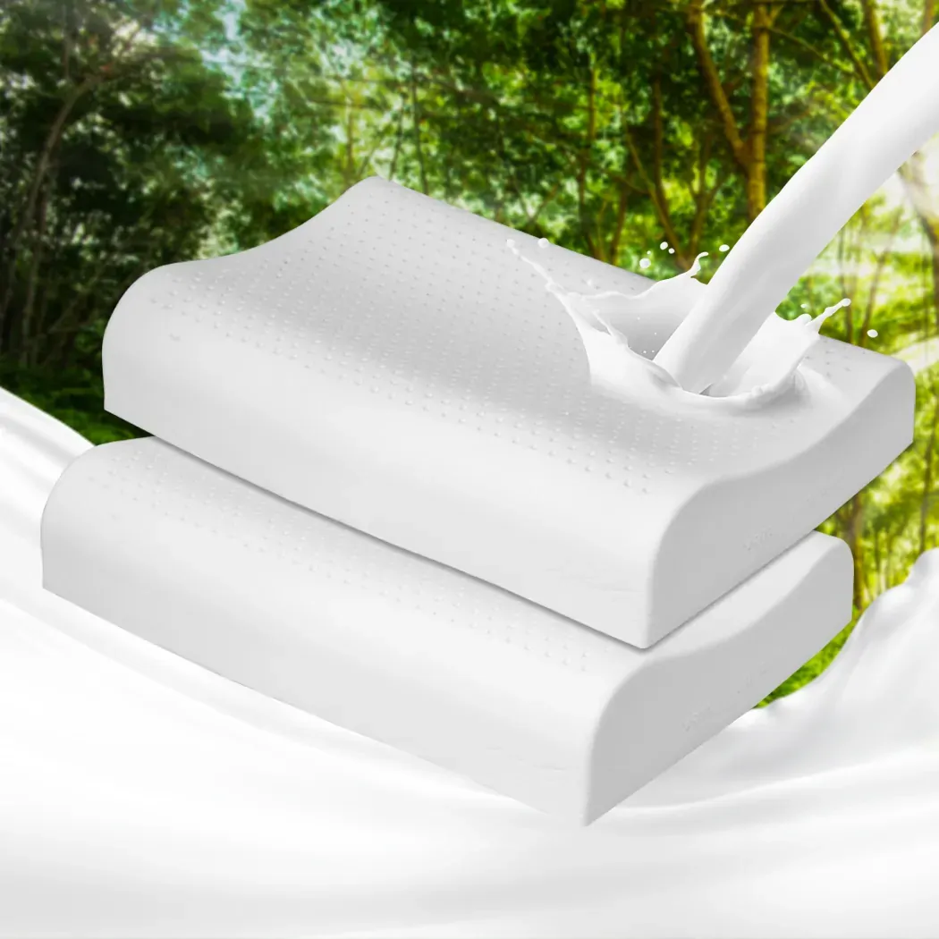 2x natural latex pillow removable Price
