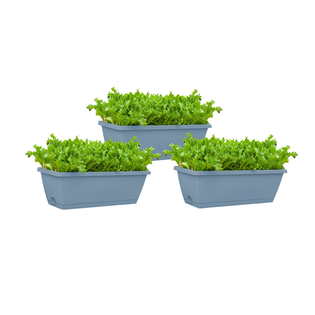49.5cm Rectangular Planter Vegetable Herb Flower Outdoor Plastic Box with Holder Balcony Garden Décor Price