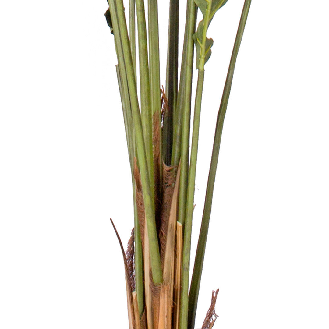 Green Artificial Indoor Rogue Areca Palm Tree Fake Tropical Plant Home Office Decor Price