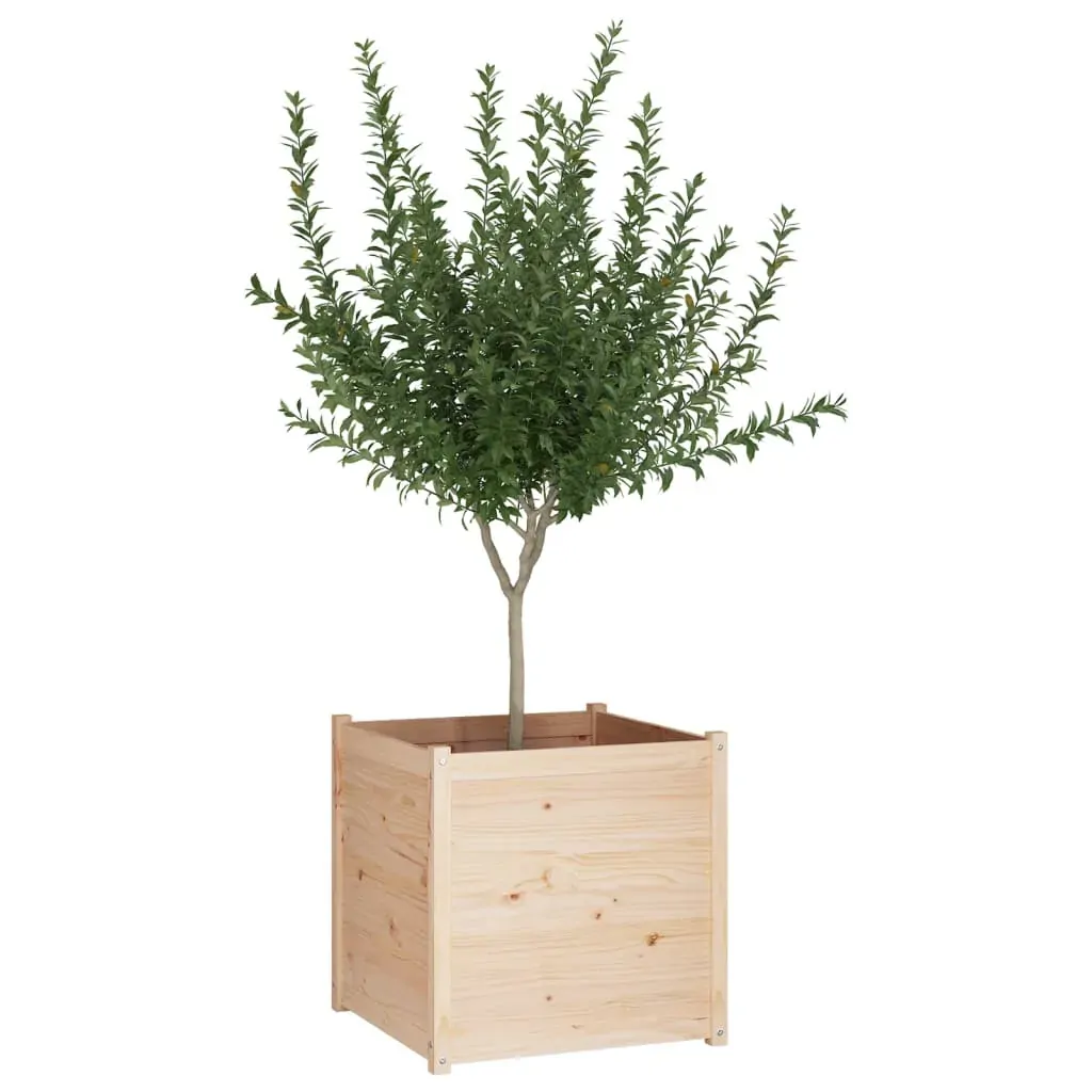 Garden Planter 70x70x70 cm Solid Pinewood Price