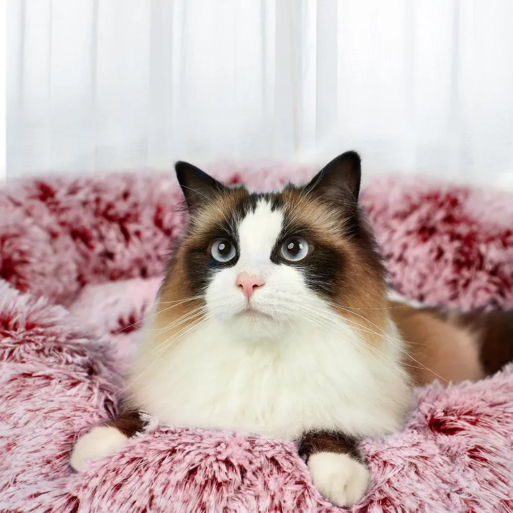 Pet Bed Memory Foam Dog Donut Pink X-Large Price