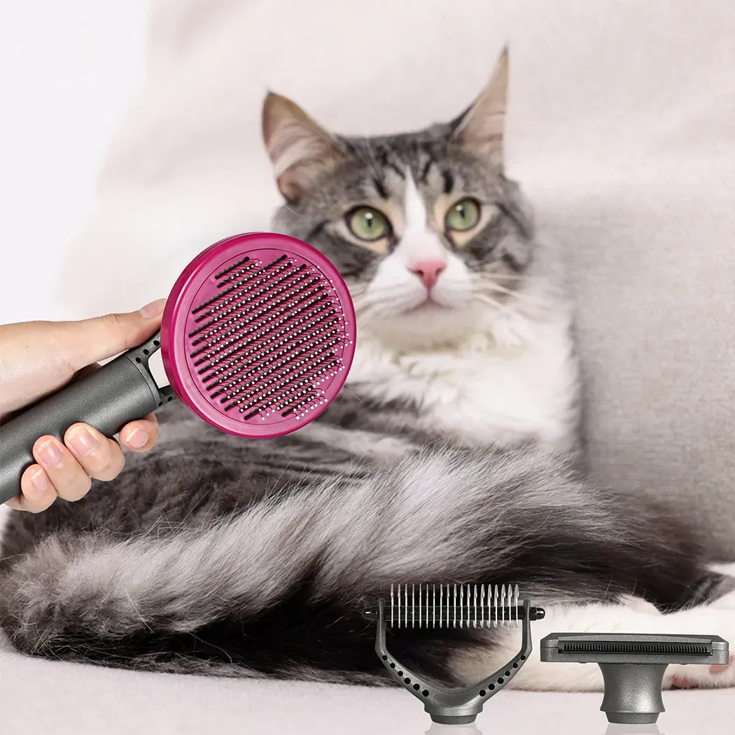 Pet Grooming Tools Price