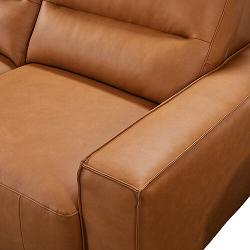 Albany Sofa Leather with Tan Color Price