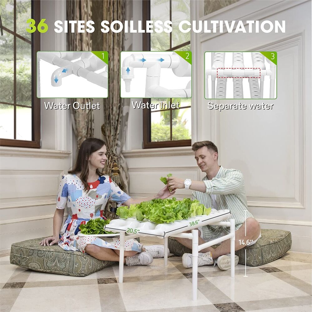 36 Sites Hydroponic Grow Tool Kits Vegetable Garden System 220V Water Pump Price