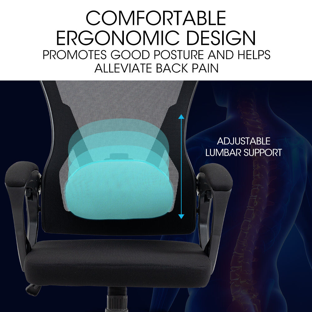 FORTIA Ergonomic Office Desk Chair, Height Adjustable Lumbar Support, Mesh Fabric, Headrest, Black Price
