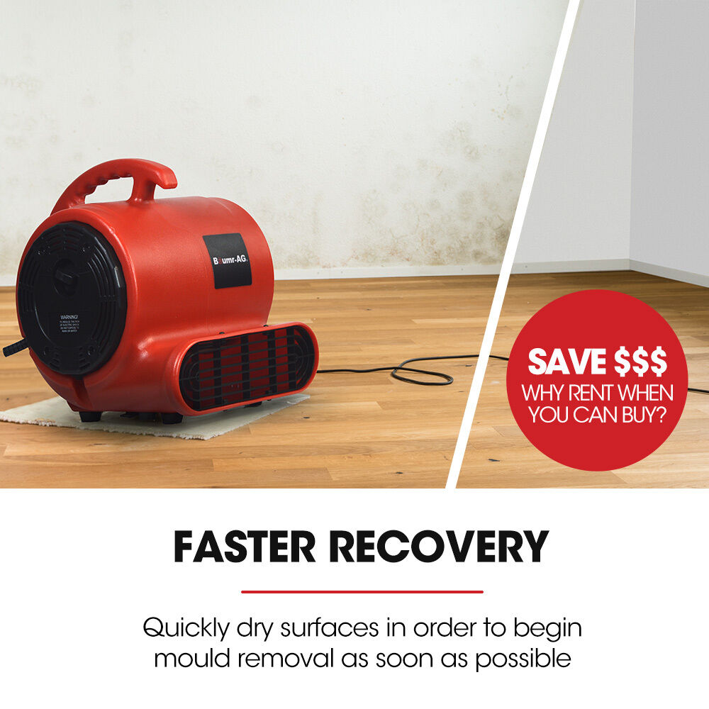 Baumr-AG 3-Speed Carpet Dryer Air Mover Blower Fan, 800CFM, Sealed Copper Motor, Poly Housing Price
