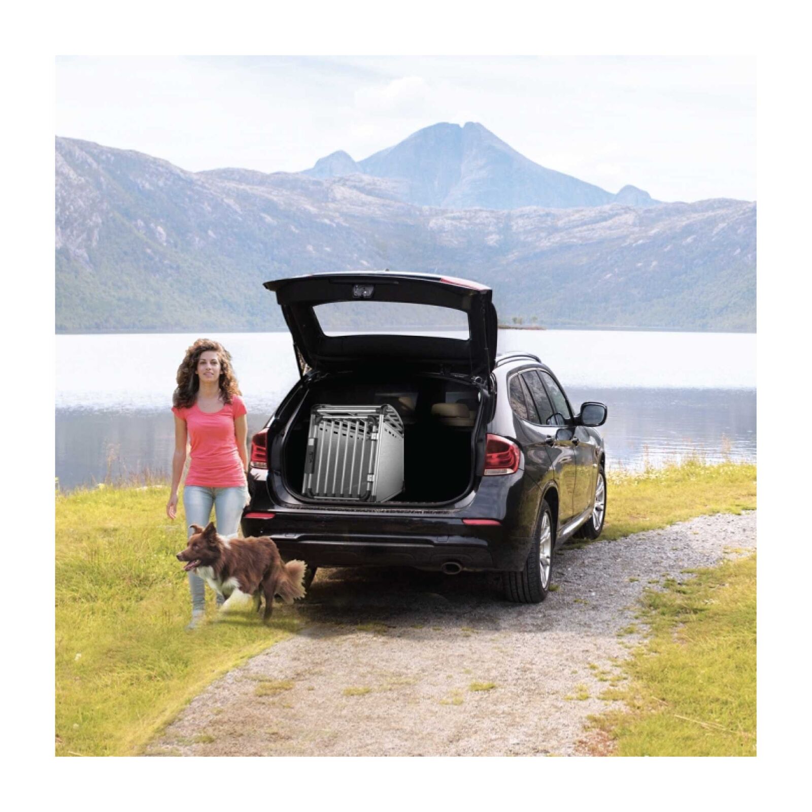 Aluminium Dog Travel Crate 56x65x77cm - Medium Pet Car Transport Cage Kennel Box Price