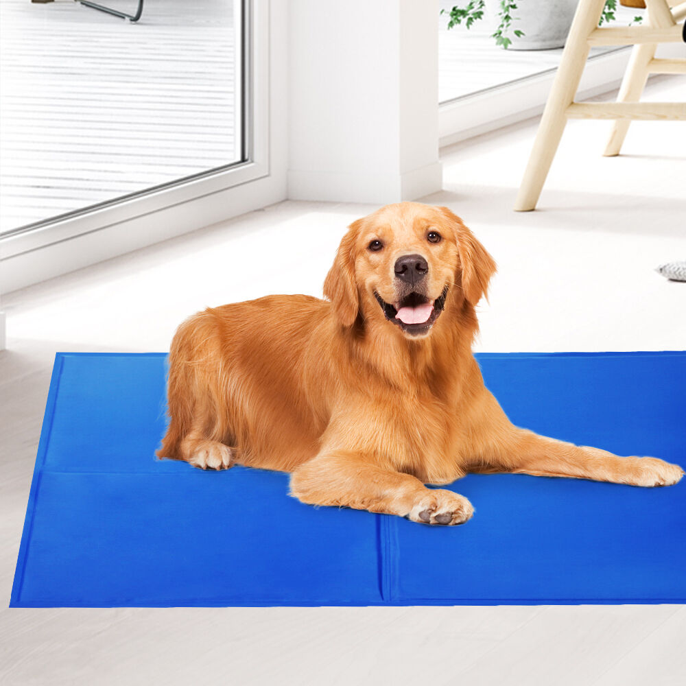 2X Pet Cooling Bed Gel Mat Dog Cat Non-Toxic Cool Pad Puppy Cold Summer 50x40 CM Price