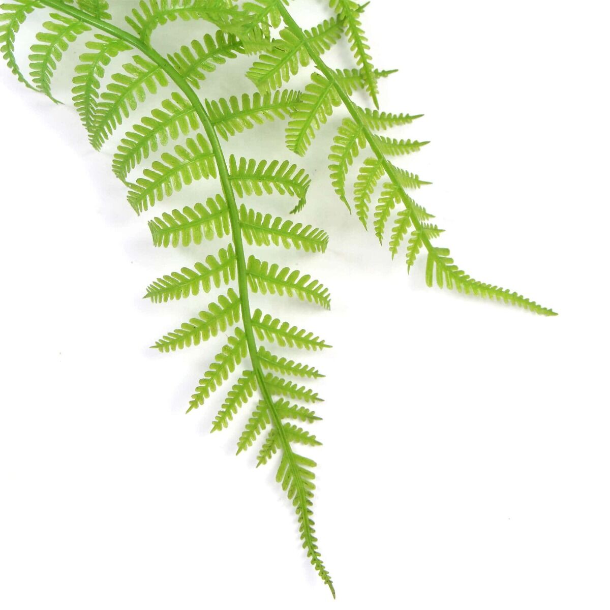 Hanging Fresh Green Boston Fern UV Resistant 80cm Price