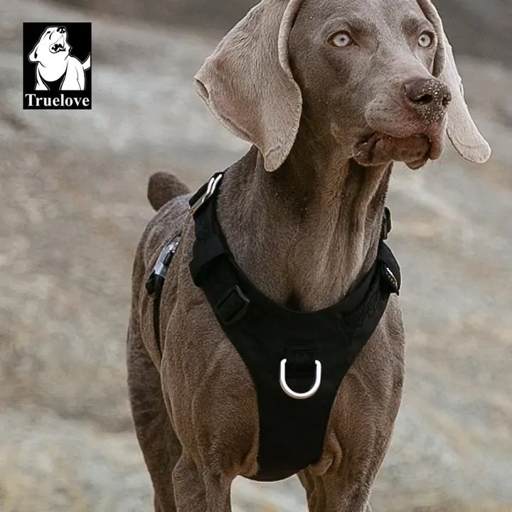 Lightweight Dog Harness - Black, M Price