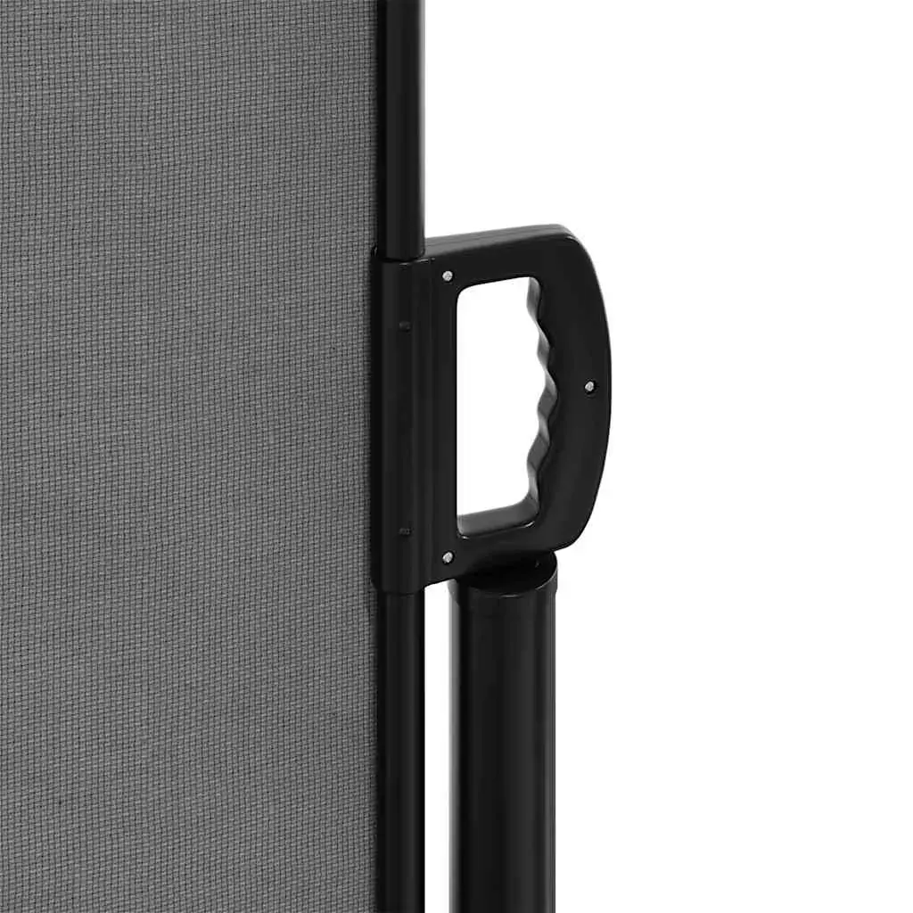 Retractable Side Awning Anthracite 140x300 cm Price