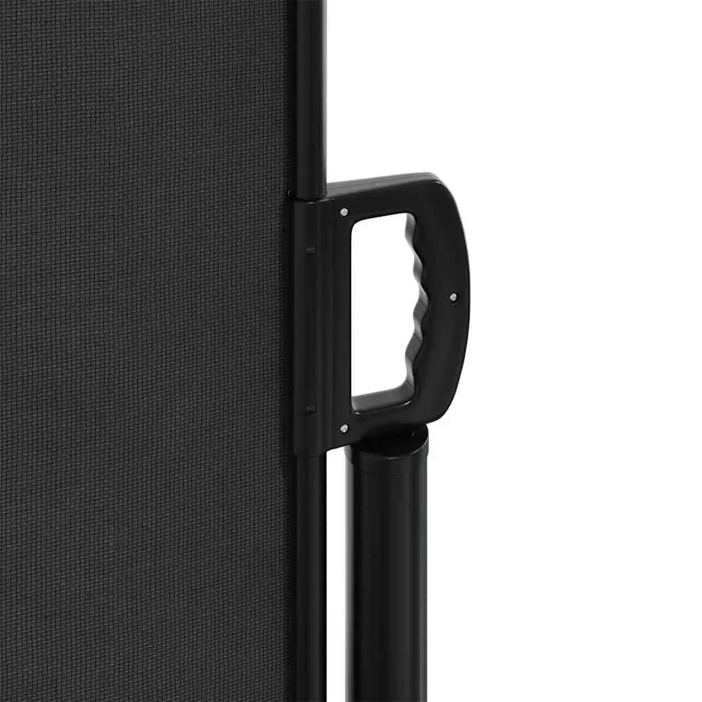 Retractable Side Awning Black 120x500 cm Price