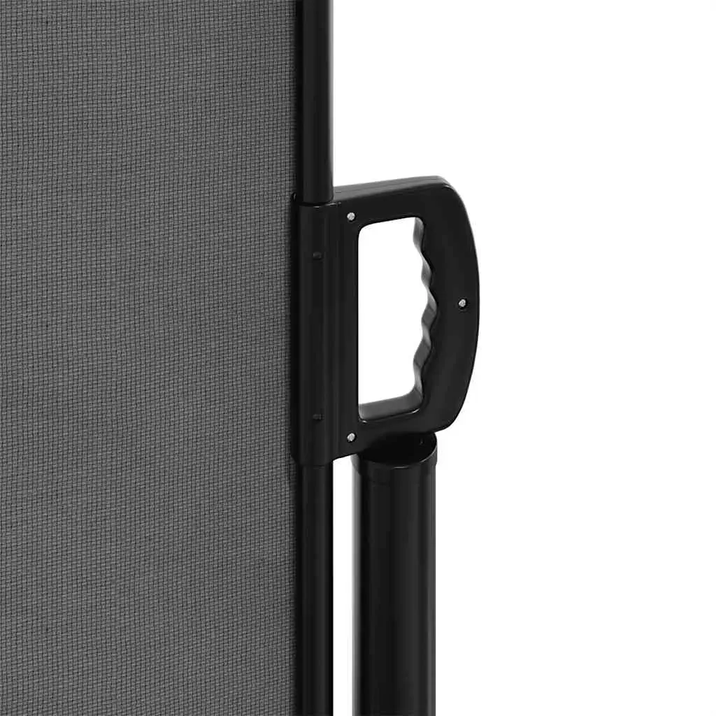 Retractable Side Awning Anthracite 200x600 cm Price