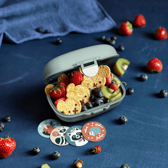 Gram Snack Box-Green Raccoon Green Raccoon Price