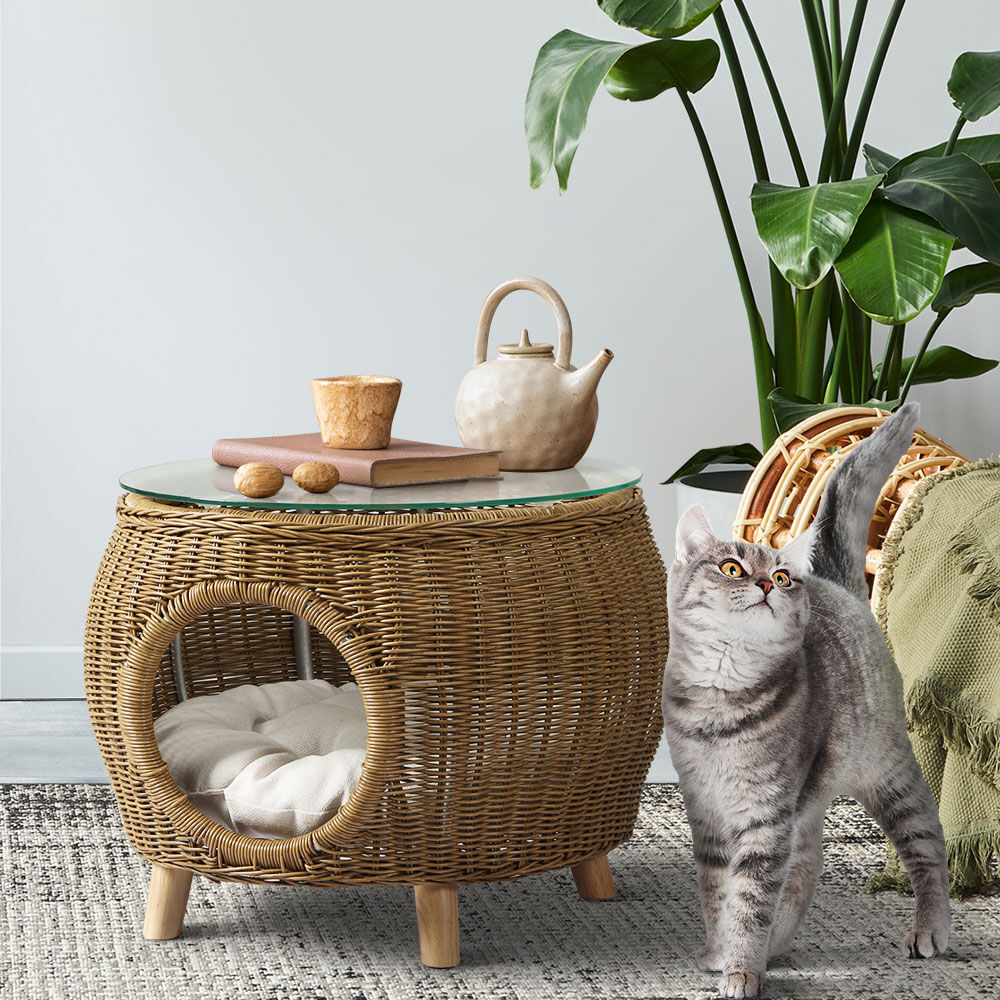 Coffee Side Table Wicker Aluminium Desk Pet Bed Storage Outdoor Furniture Price