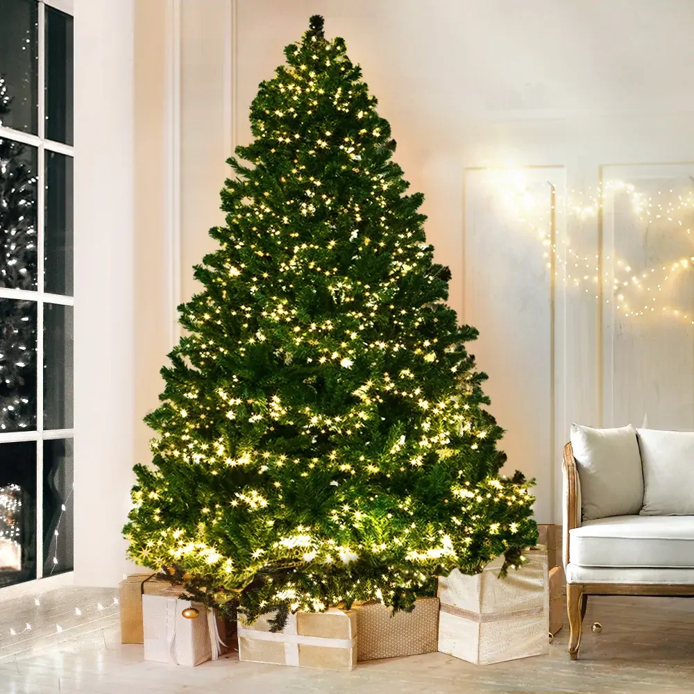 Jingle Jollys Christmas Tree Xmas Tree with LED Lights Warm White Price