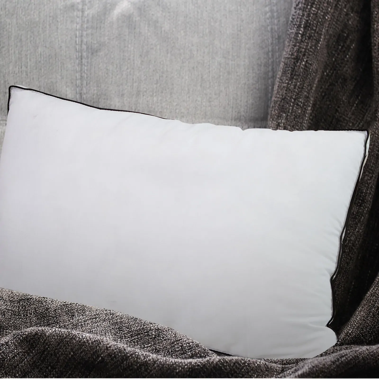 Casa Decor Silk Blend Pillow Price