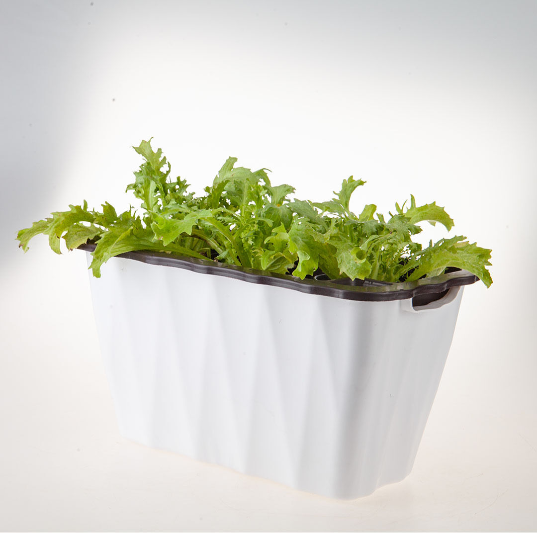 Rectangular Flowerpot Vegetable Herb Flower Outdoor Plastic Box Garden Decor Price