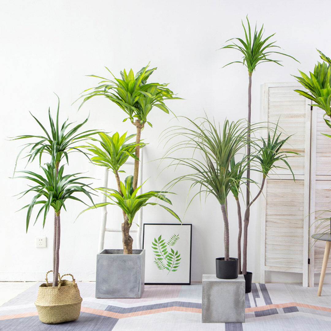 Green Artificial Indoor Brazlian Iron Tree Fake Plant Decorative 3 Heads Price