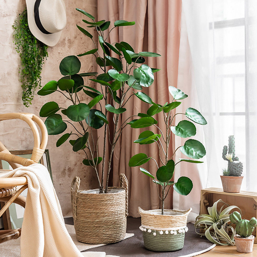 Green Artificial Indoor Pocket Money Tree Fake Plant Simulation Decorative Price