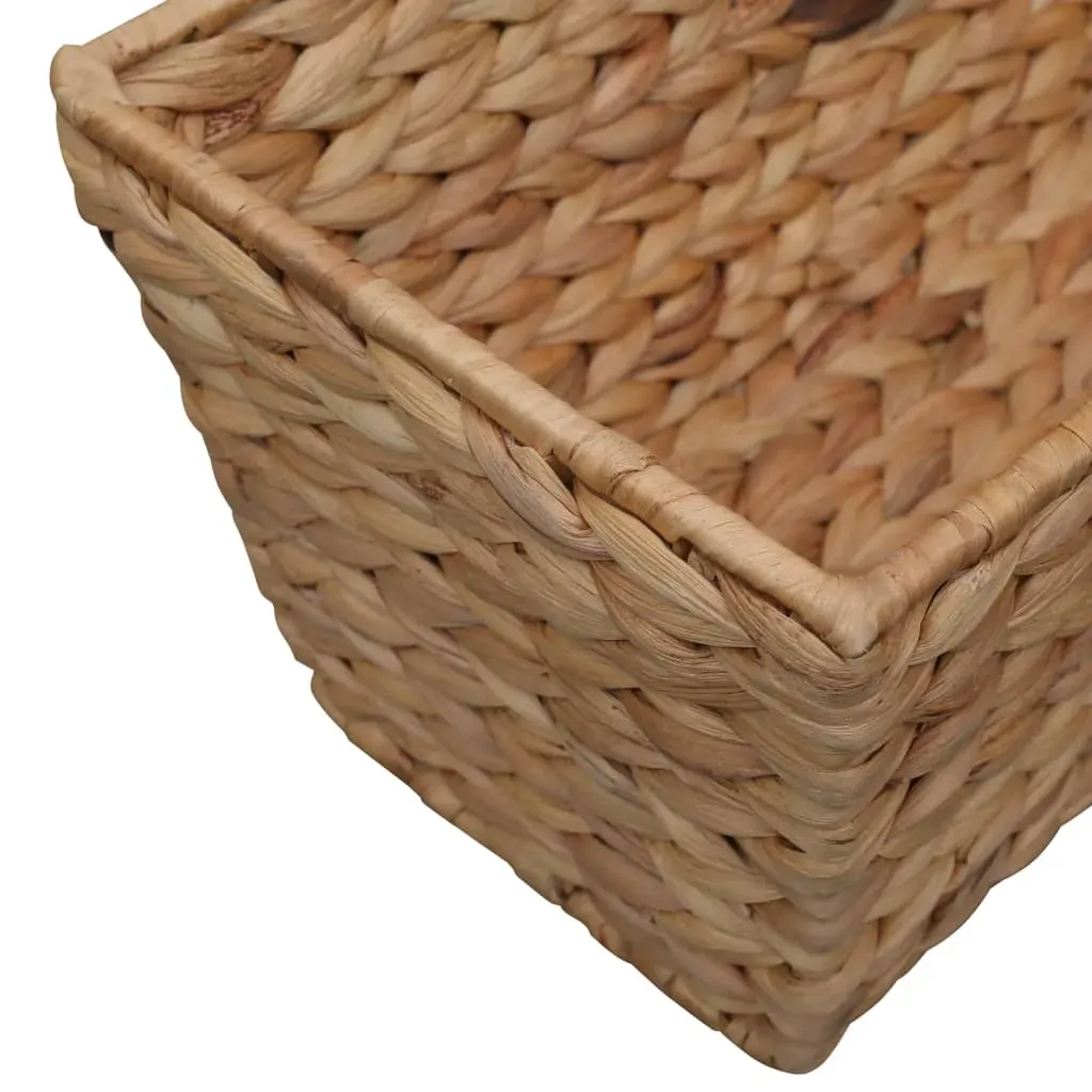 Garden Planters 2 pcs Water Hyacinth Price
