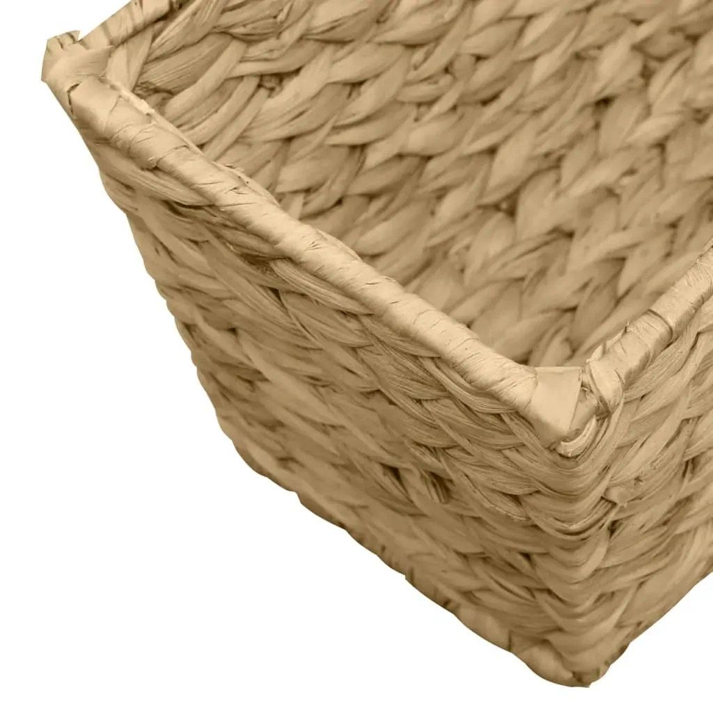 Garden Planters 2 pcs Water Hyacinth Price