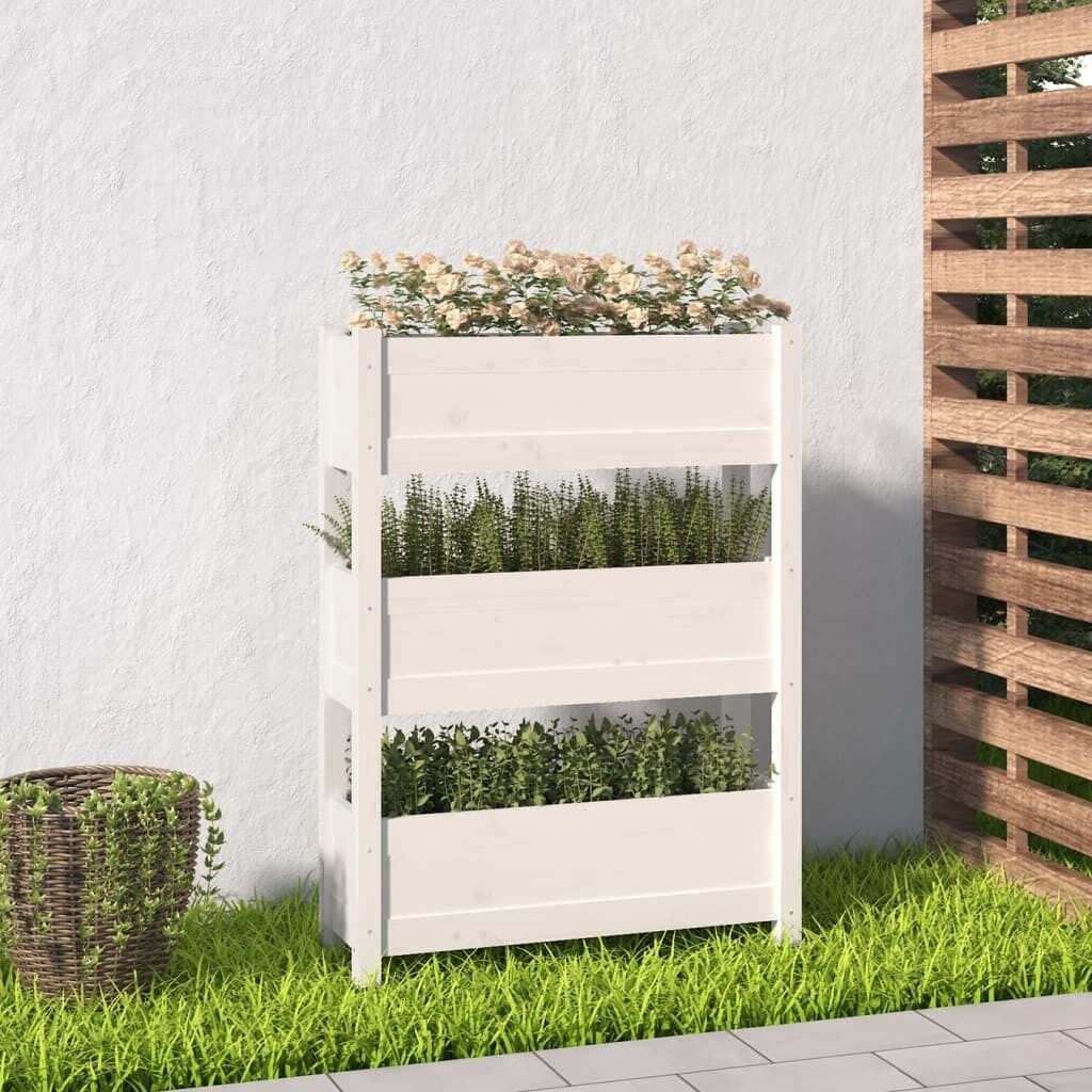 Planter Solid Wood Pine Price