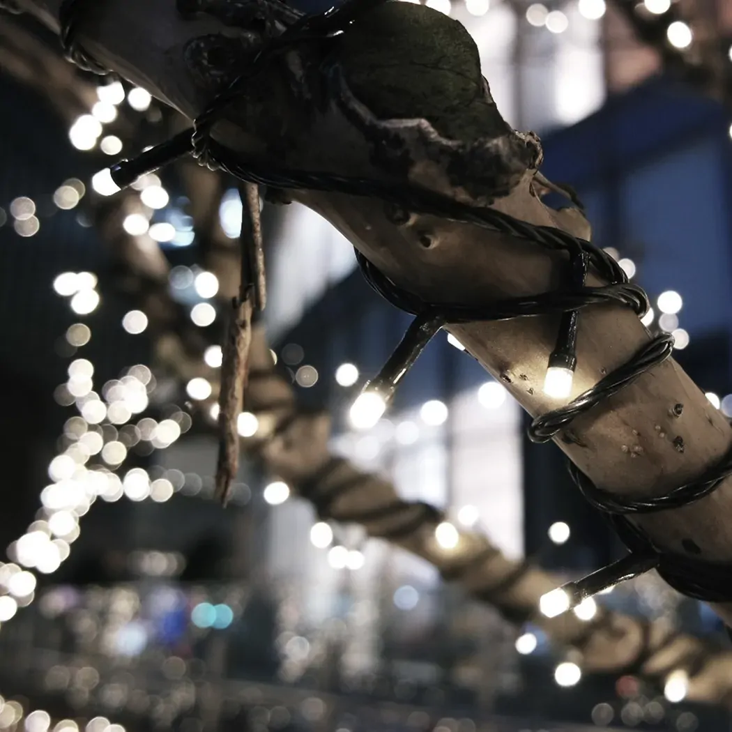 15M 100LED String Solar Powered Price