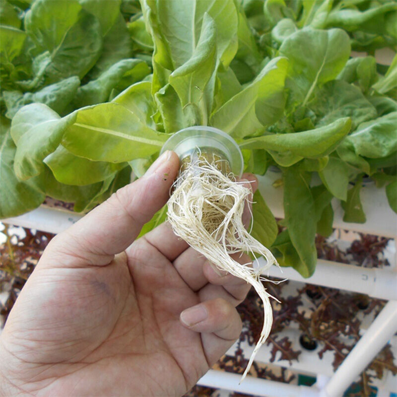 108 Plant Sites Hydroponic Grow Tool Kit Vegetable Garden Hydroponic Grow System Price