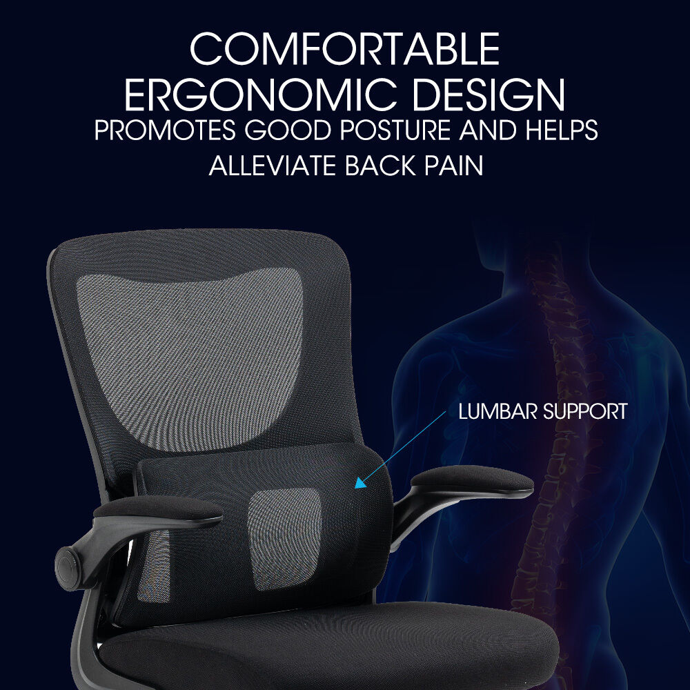 FORTIA Ergonomic Mesh Office Chair Computer Seat Adjustable Recline, Black Price