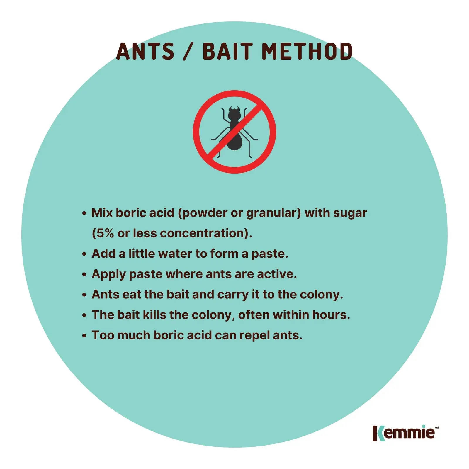 100g Boric Acid Powder High Purity Fully Soluble Granule Pest Ant Cockroaches Price