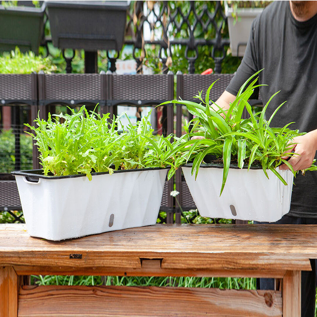 Rectangular Flowerpot Vegetable Herb Flower Outdoor Plastic Box Garden Decor Price