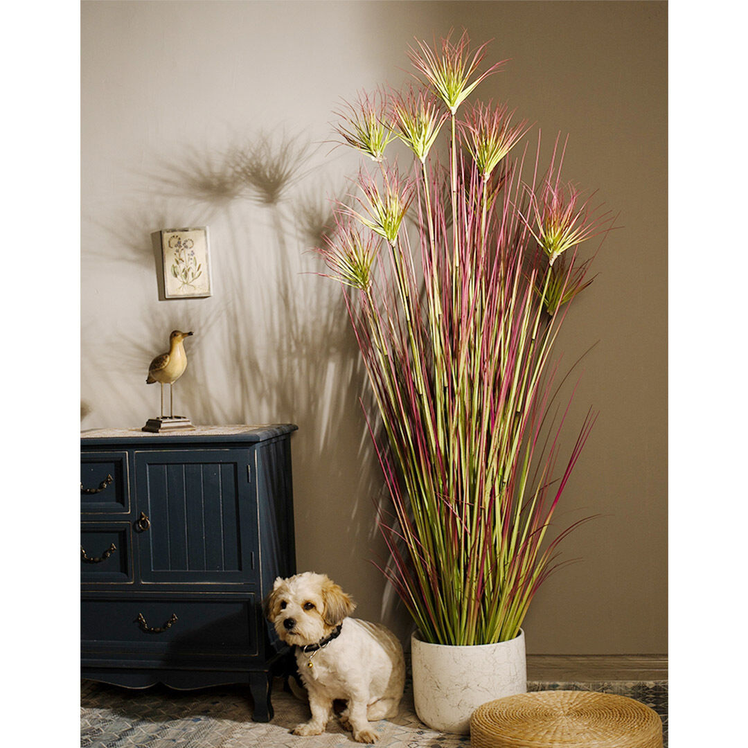 Purple-Red Artificial Indoor Potted Papyrus Plant Tree Fake Simulation Decorative Price