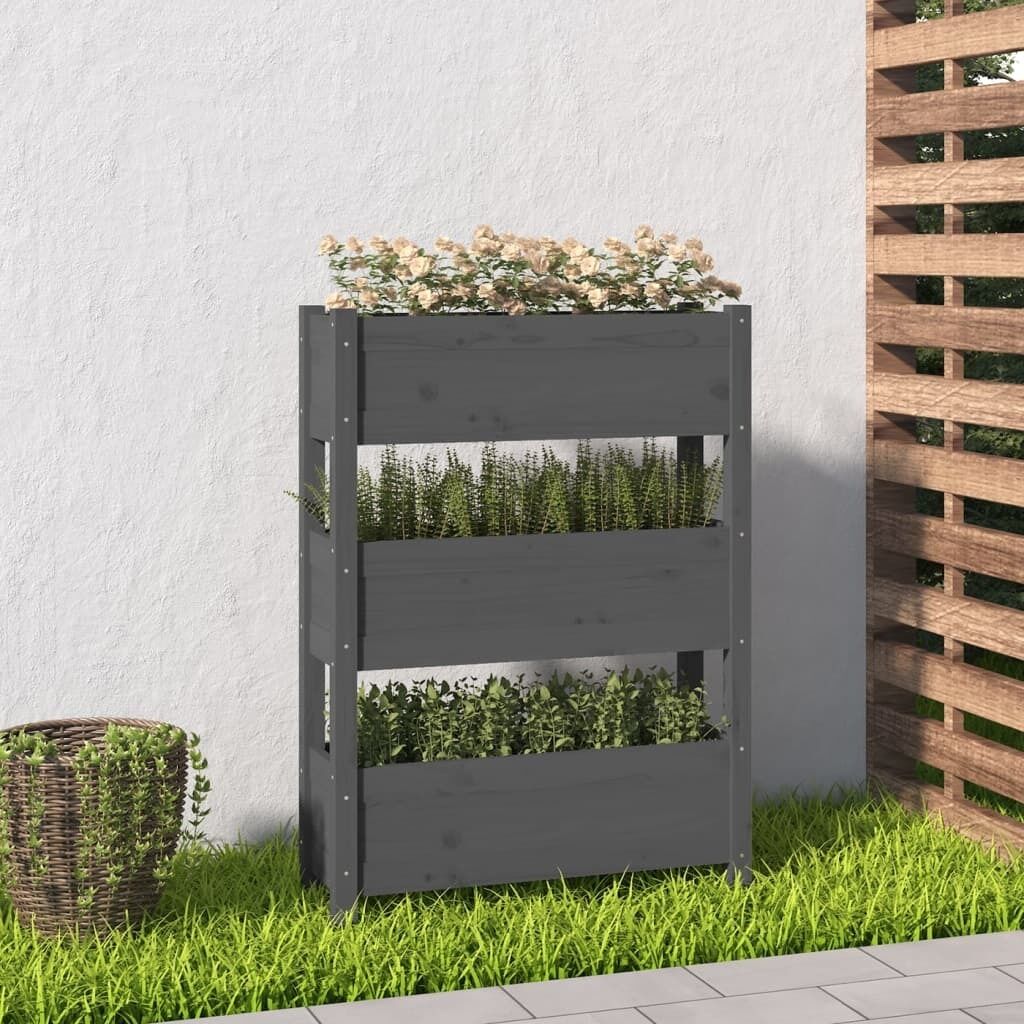 Planter Solid Wood Pine Price
