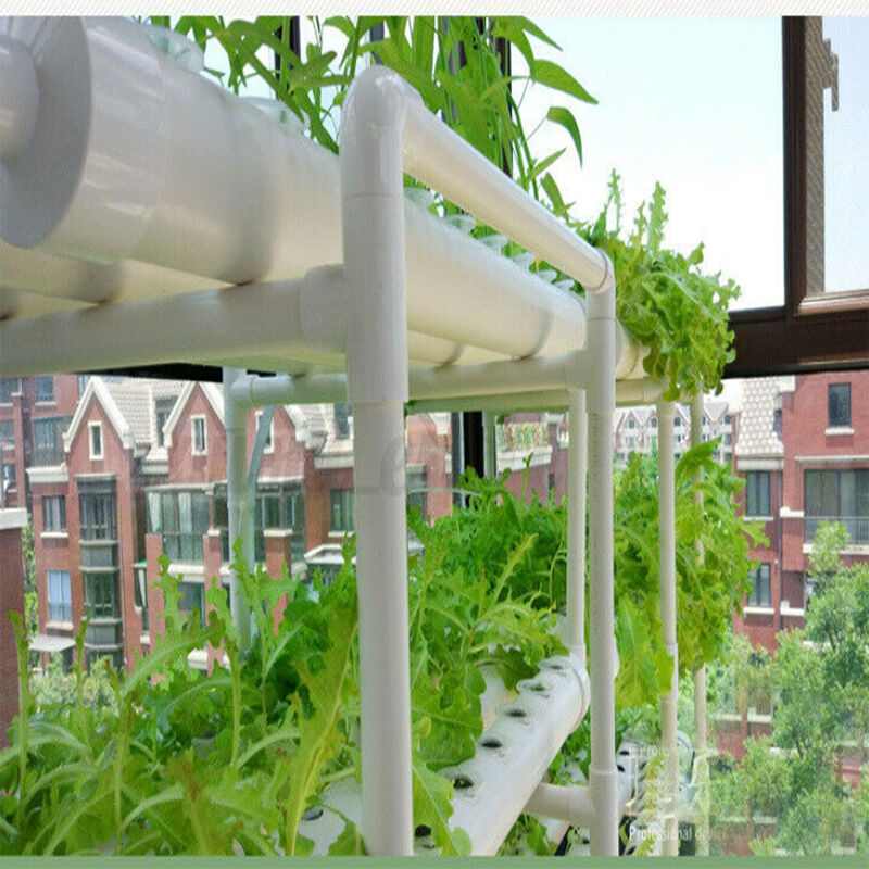 108 Plant Sites Hydroponic Grow Tool Kit Vegetable Garden Hydroponic Grow System Price